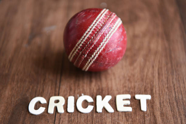 Understanding Cricket Betting Rules: A Beginner’s Guide